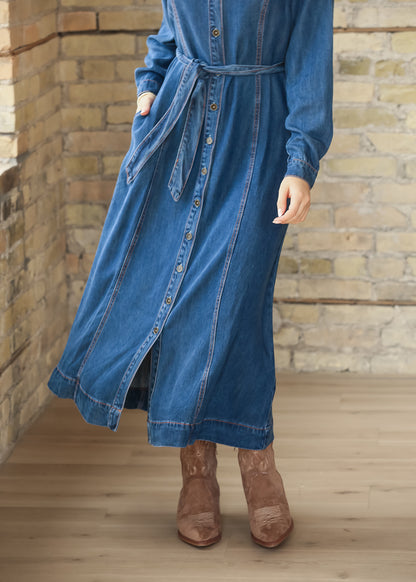 Laramie Denim Maxi Dress FF Dresses