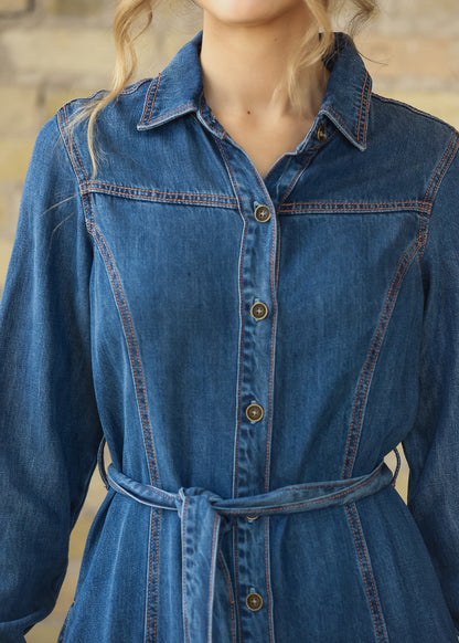 Laramie Denim Maxi Dress FF Dresses