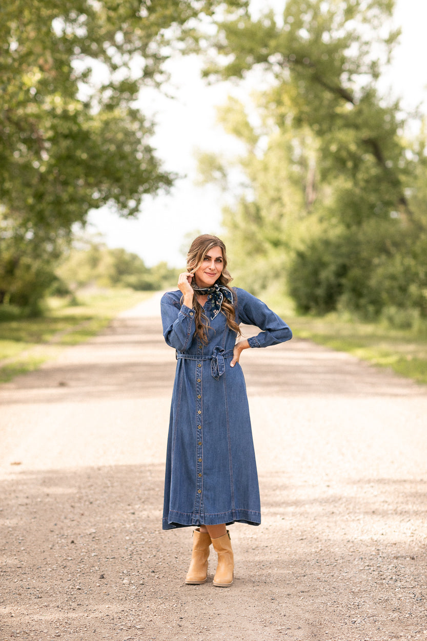 Laramie Denim Maxi Dress FF Dresses