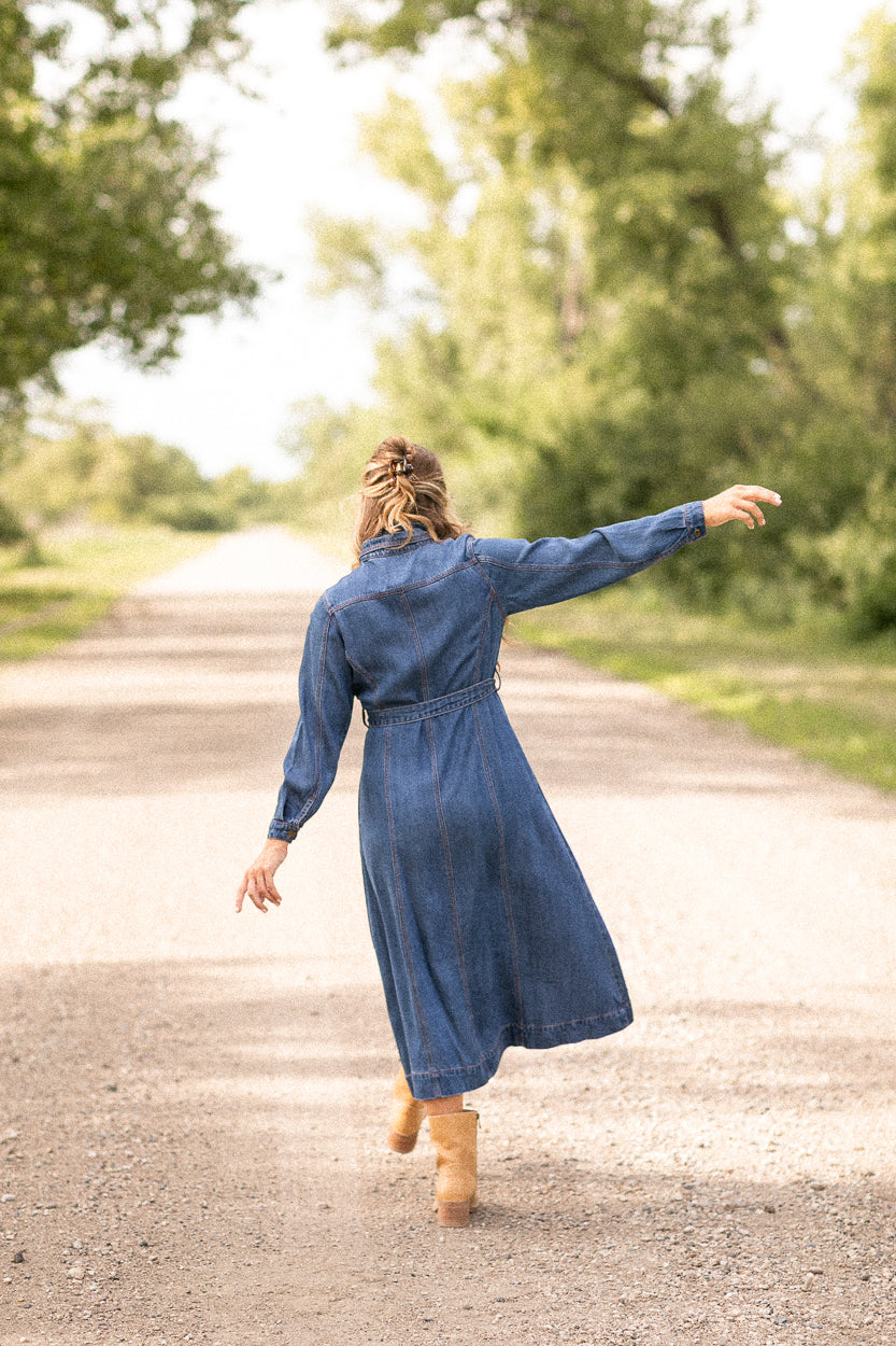 Laramie Denim Maxi Dress FF Dresses