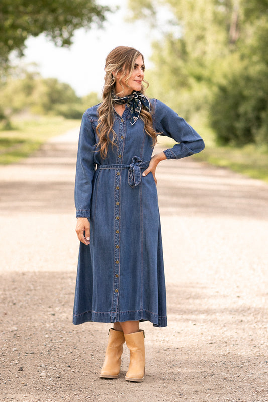 Laramie Denim Maxi Dress FF Dresses