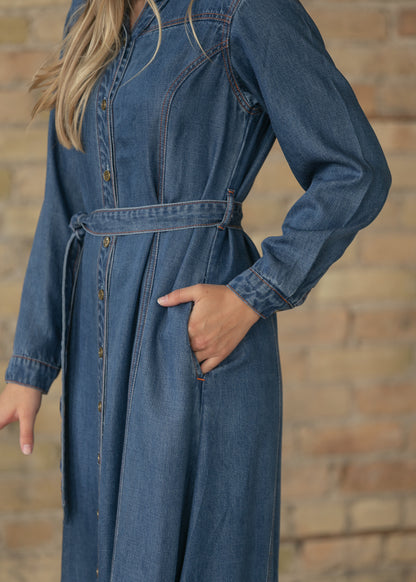 Laramie Denim Maxi Dress FF Dresses