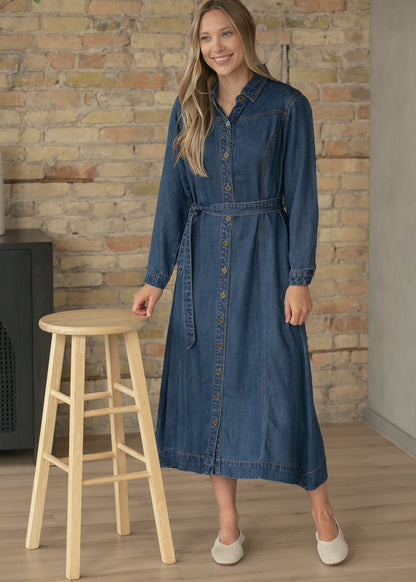 Laramie Denim Maxi Dress FF Dresses