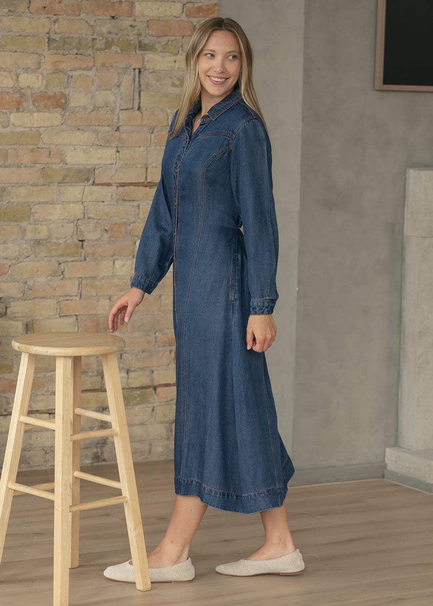 Laramie Denim Maxi Dress FF Dresses