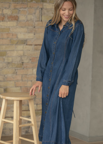 Laramie Denim Maxi Dress FF Dresses