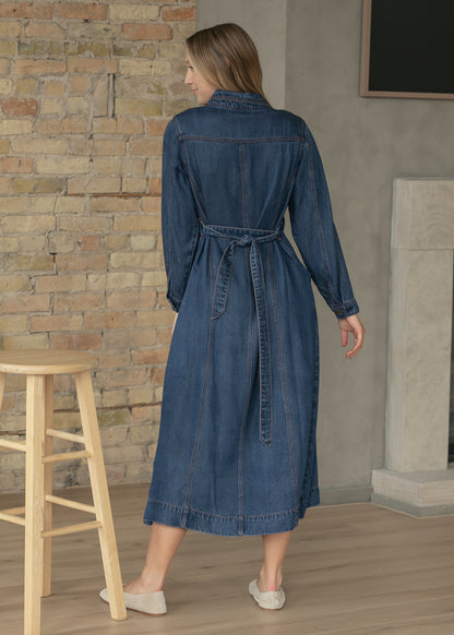 Laramie Denim Maxi Dress FF Dresses