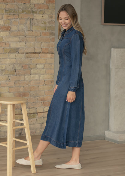 Laramie Denim Maxi Dress FF Dresses