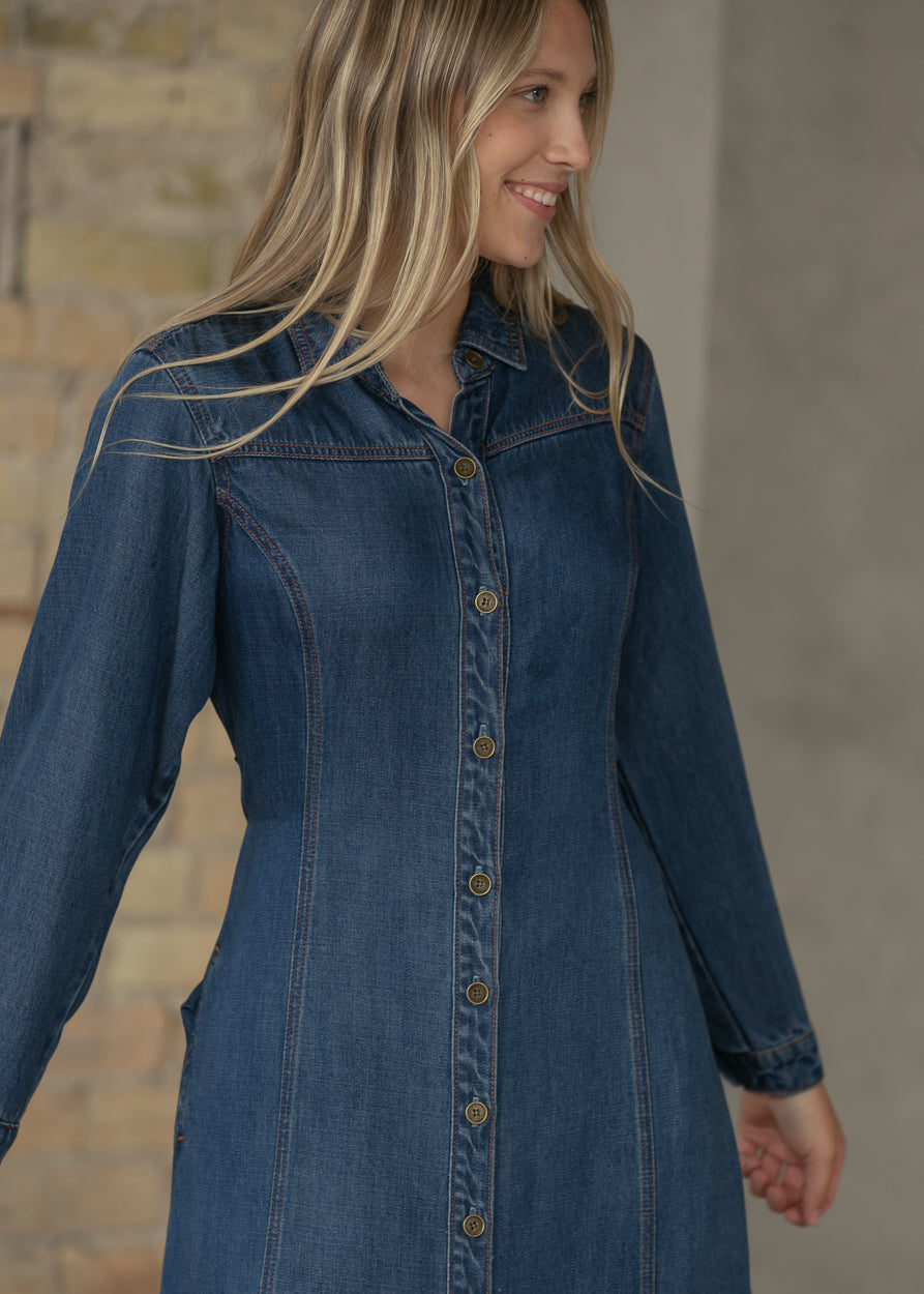 Laramie Denim Maxi Dress FF Dresses