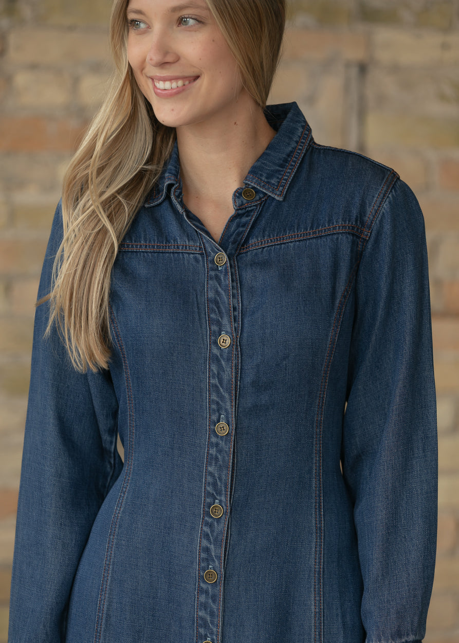 Laramie Denim Maxi Dress FF Dresses