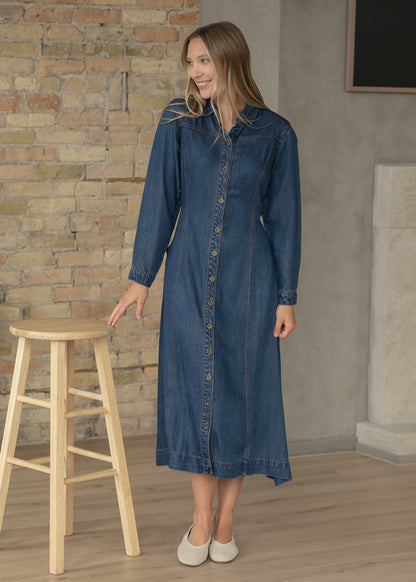 Laramie Denim Maxi Dress FF Dresses