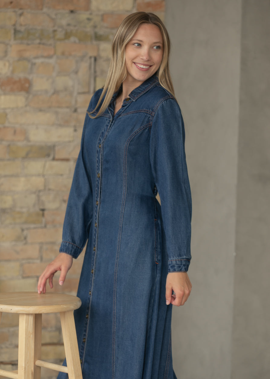 Laramie Denim Maxi Dress FF Dresses