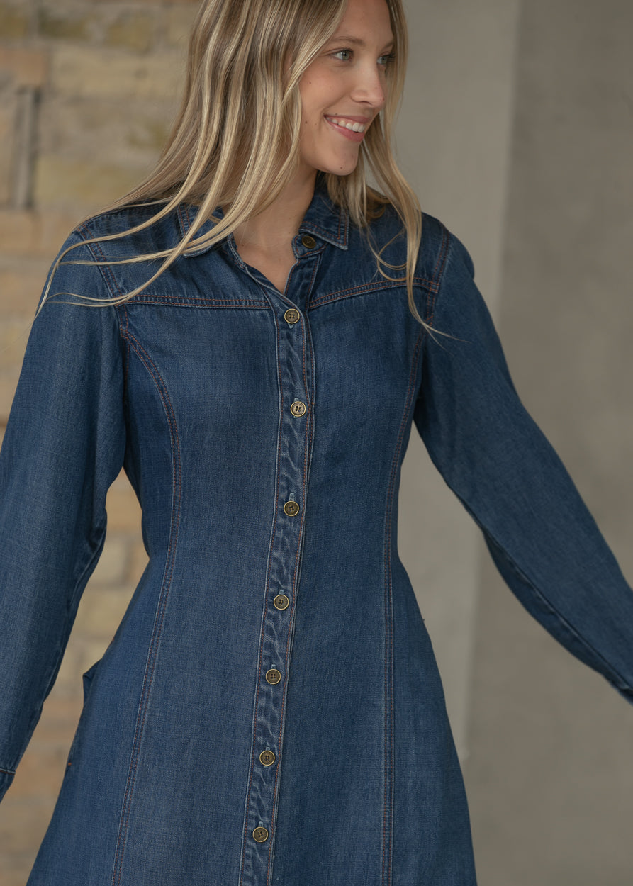 Laramie Denim Maxi Dress FF Dresses