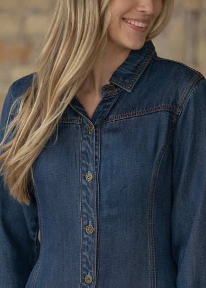 Laramie Denim Maxi Dress FF Dresses