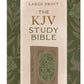 Large Print KJV Study Bible Gifts