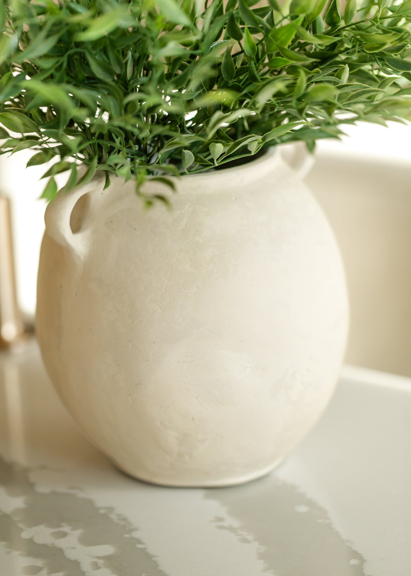 Leafy Green Ruscus Bush FF Home + Lifestyle