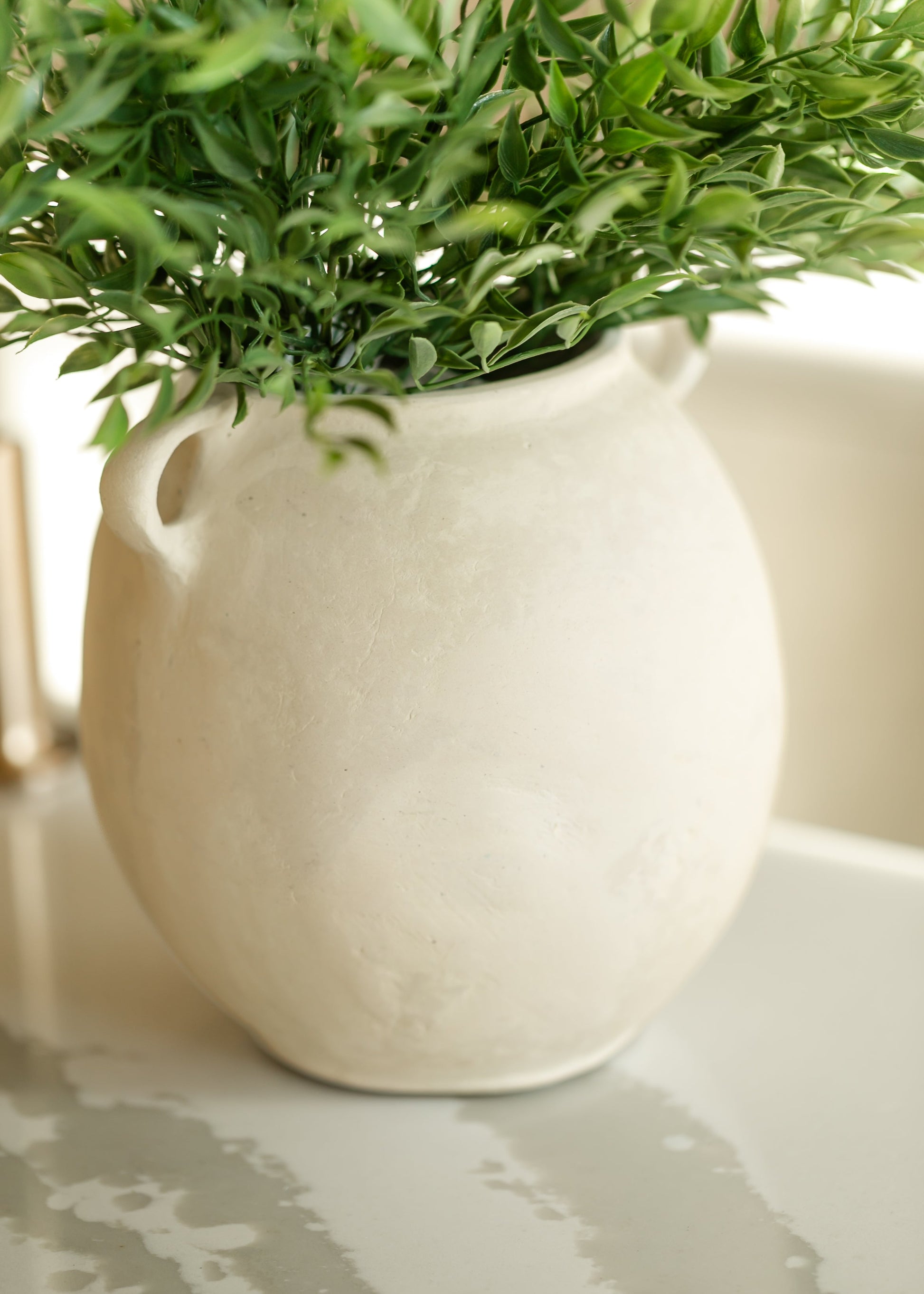 Leafy Green Ruscus Bush FF Home + Lifestyle