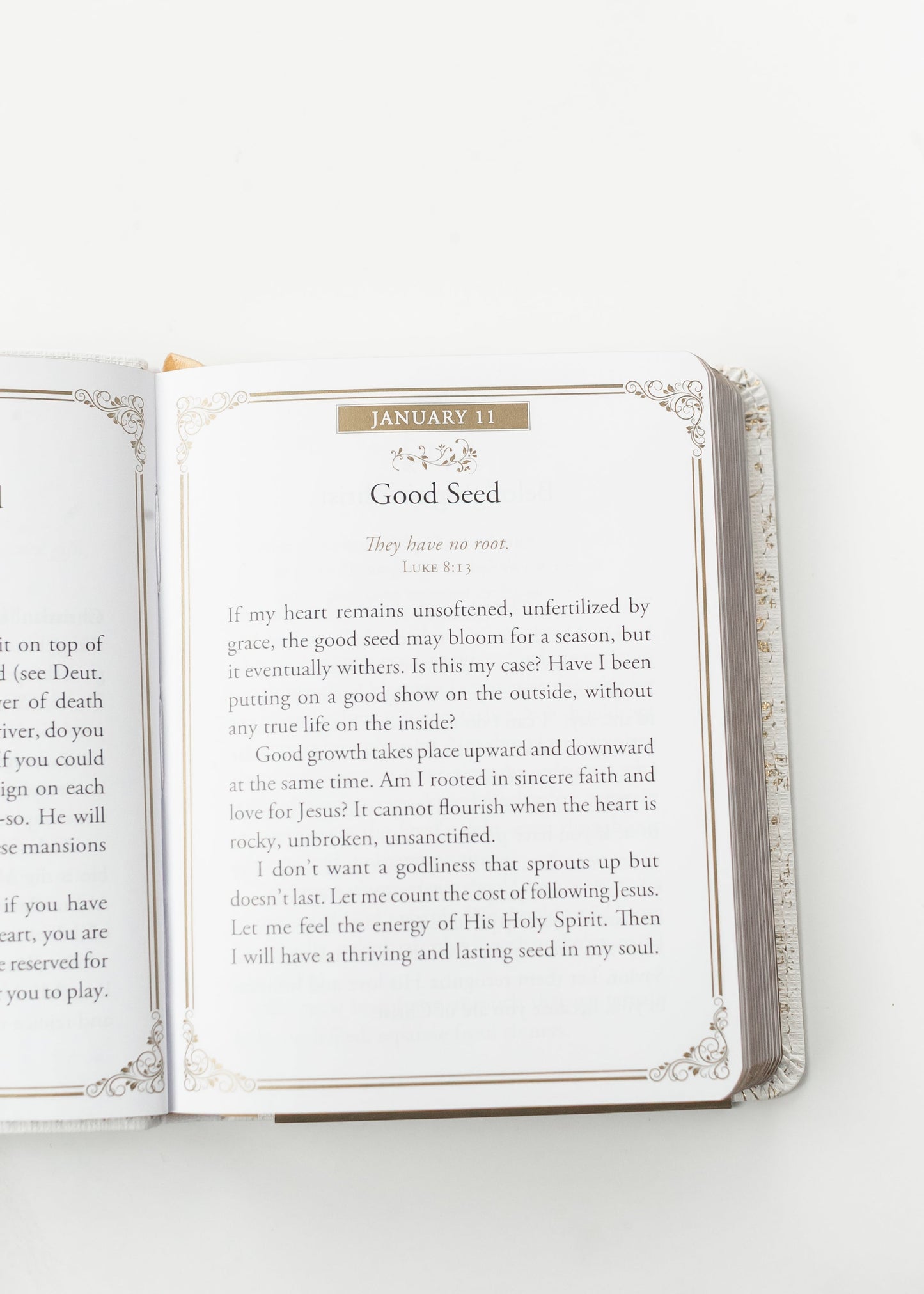 Morning by Morning One-Minute Devotions FF Home + Lifestyle