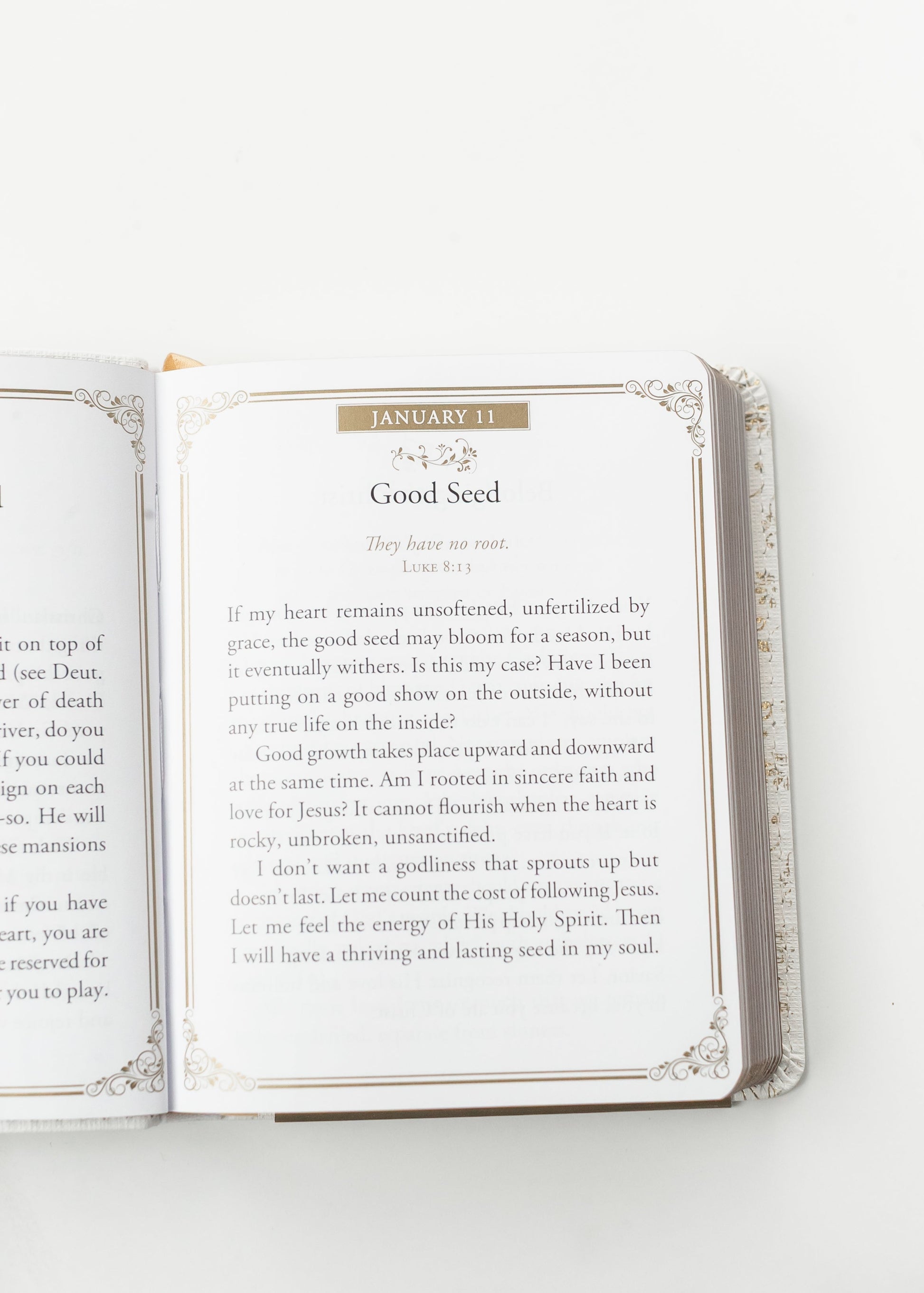 Morning by Morning One-Minute Devotions FF Home + Lifestyle