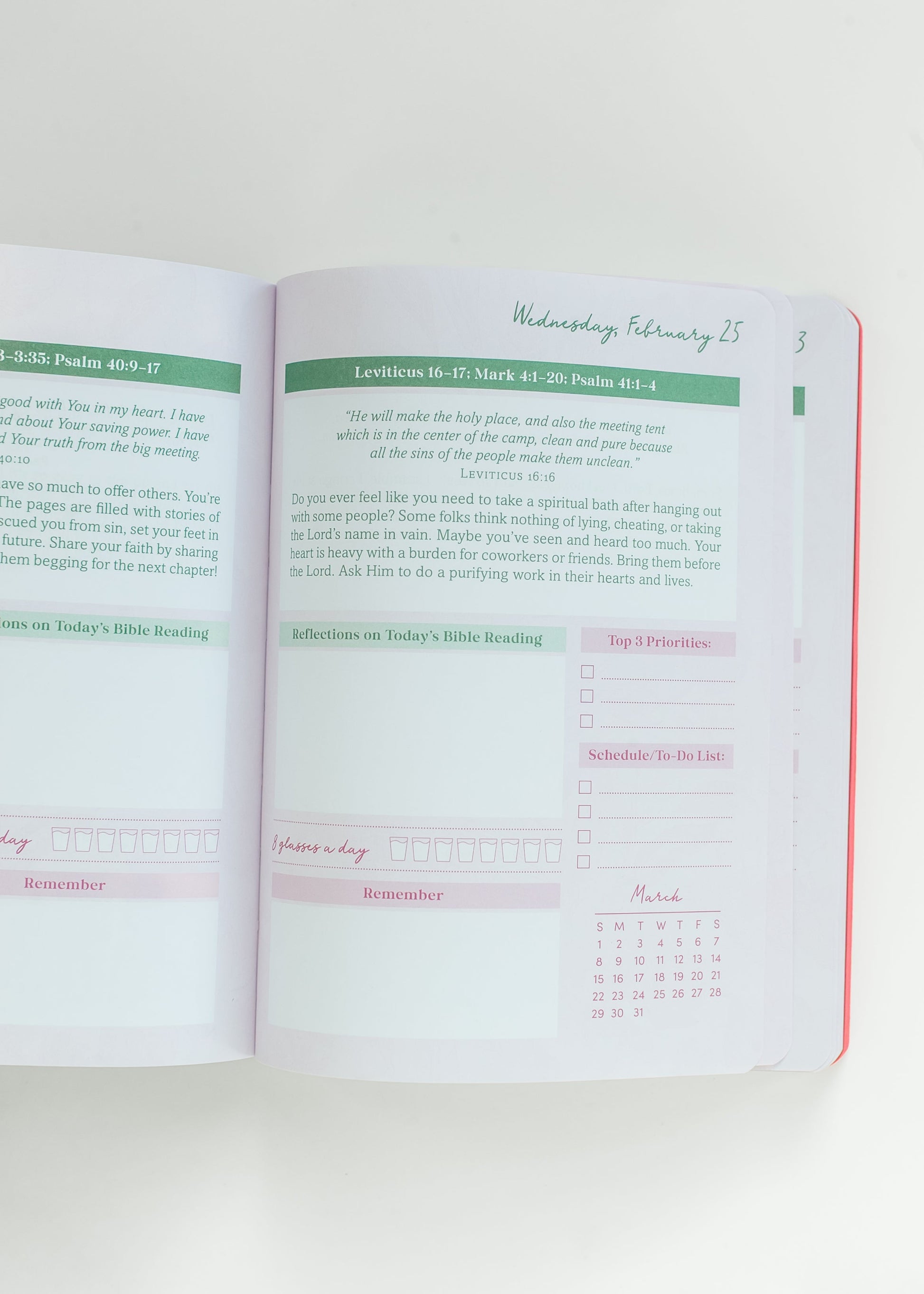 Read Through the Bible in A Year Planner: 2026 Edition Gifts