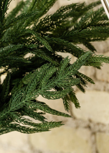 Real Touch 38" Norfolk Pine Spray Gifts