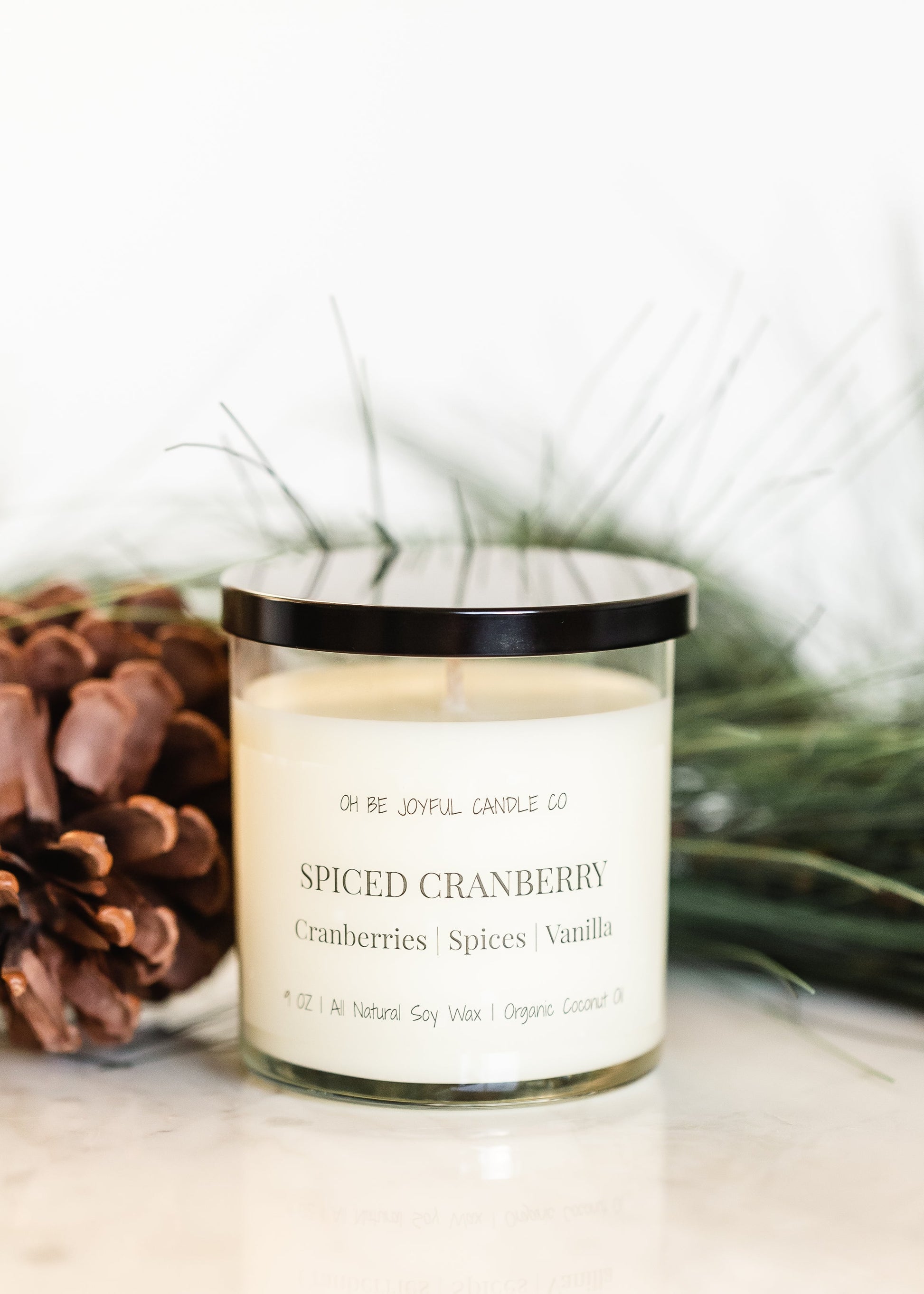 Spiced Cranberry Soy Candle Home + Lifestyle