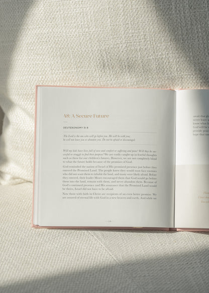 Steadfast Motherhood: 60 Day Devotional Gifts