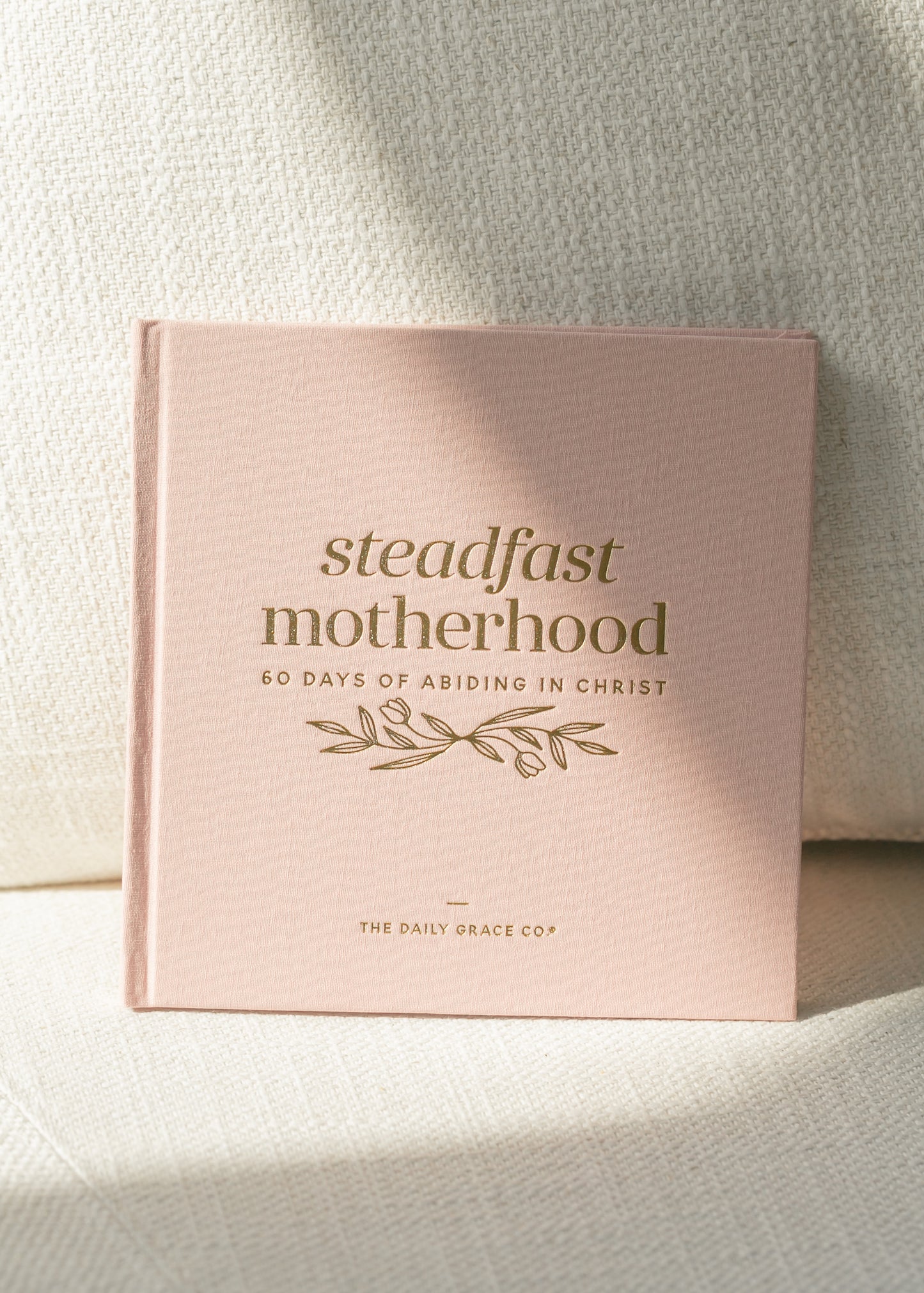 Steadfast Motherhood: 60 Day Devotional Gifts