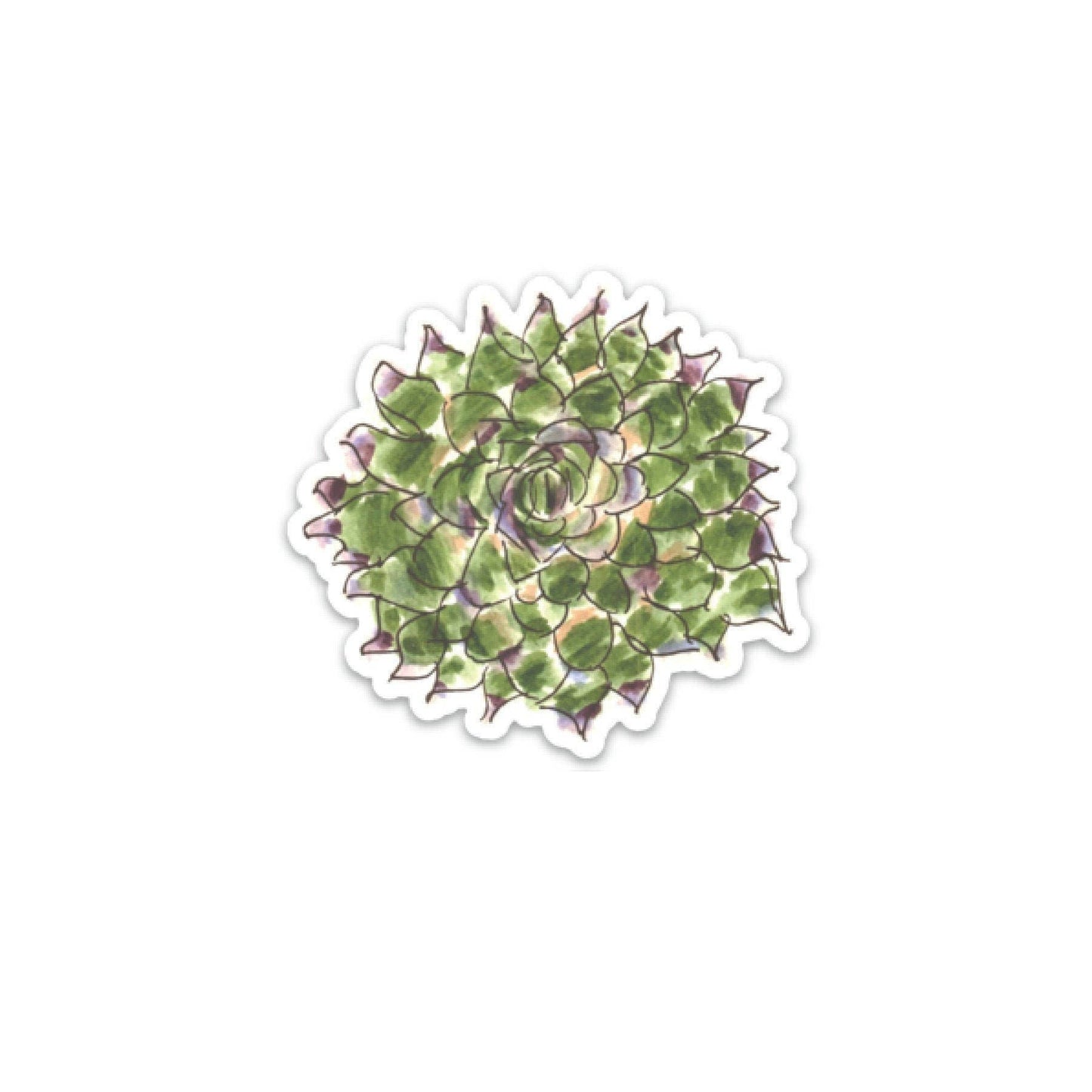 Succulent Plant Decal Home & Lifestyle Default