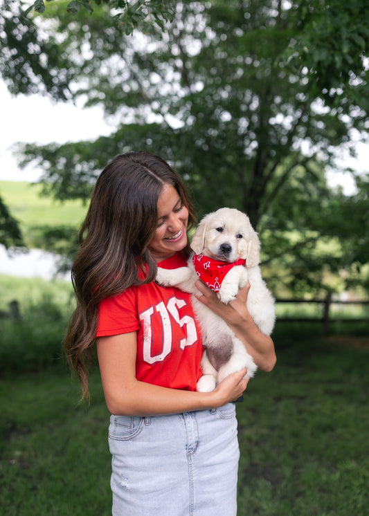 Z Supply® USA Boyfriend Tee FF Tops
