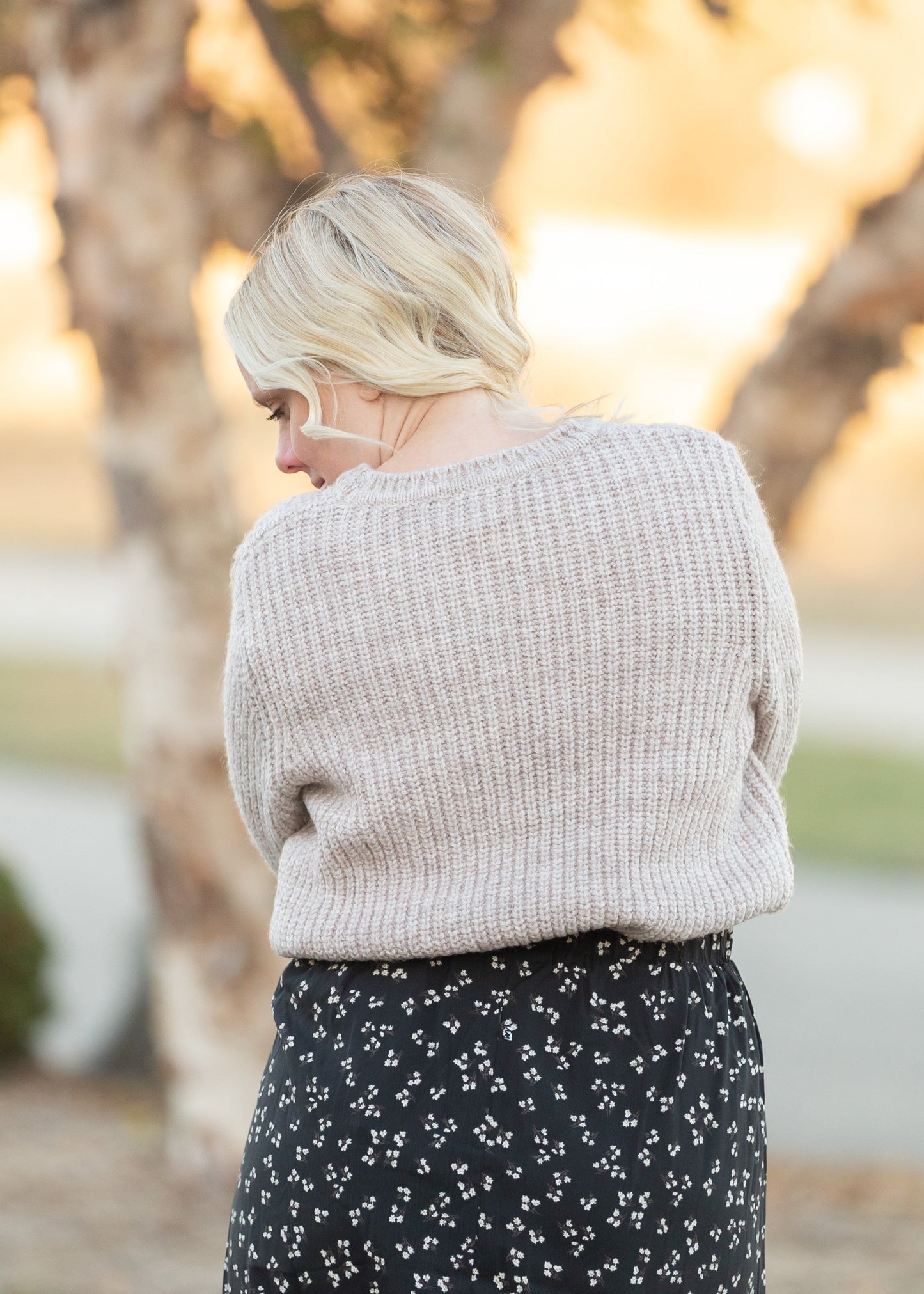Alpine Pullover Sweater Tops