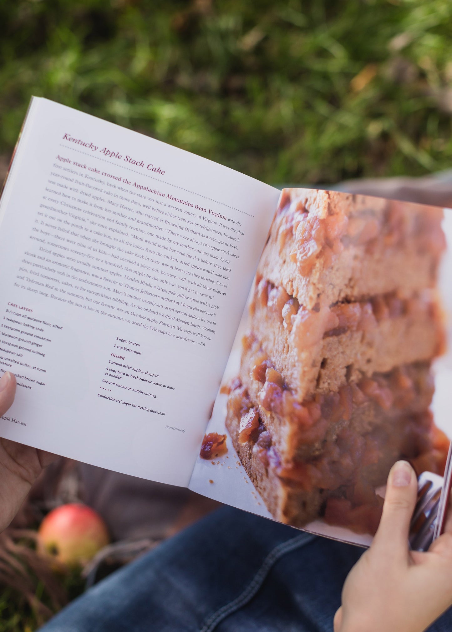 An Apple Harvest Cookbook - FINAL SALE Home & Lifestyle