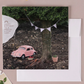 Birthday Greeting Cards Gifts Special Girl