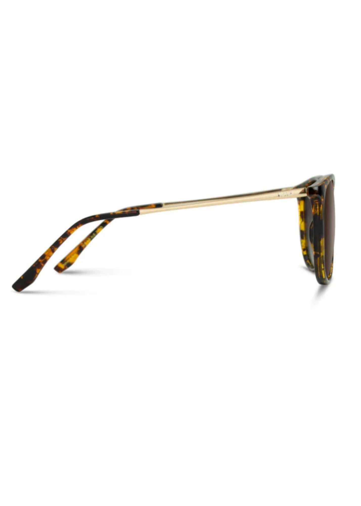 Drew Tortoise Frame Sunglasses Accessories WearMe Pro