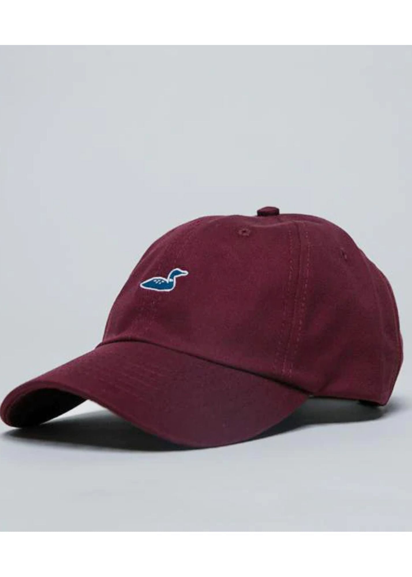 Embroidered Loon Ballcap Hat Accessories