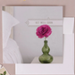 Get Well Greeting Cards Gifts
