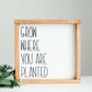 Woodframe Signboard that has script writing that says " Grow where you are planted".
