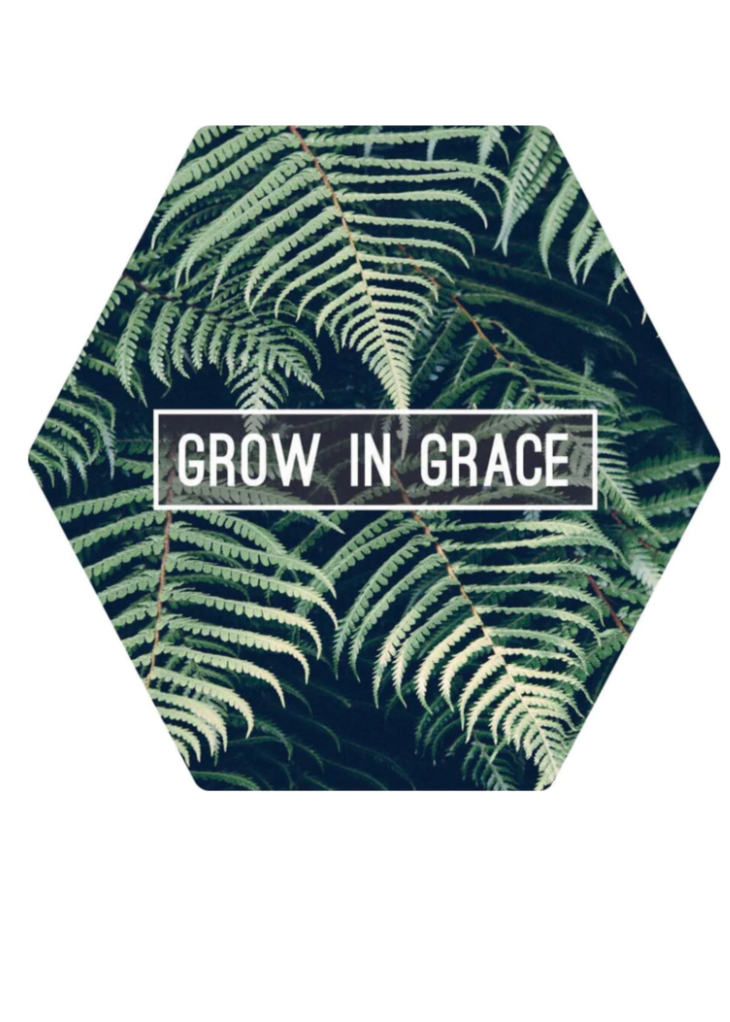 Inspirational Magnets Gifts Grow in Grace
