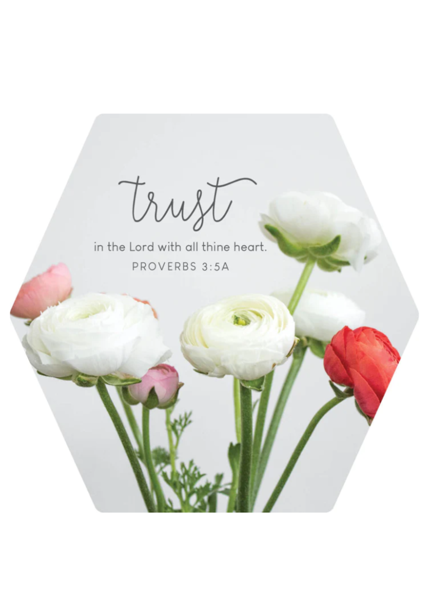 Inspirational Magnets Gifts Trust