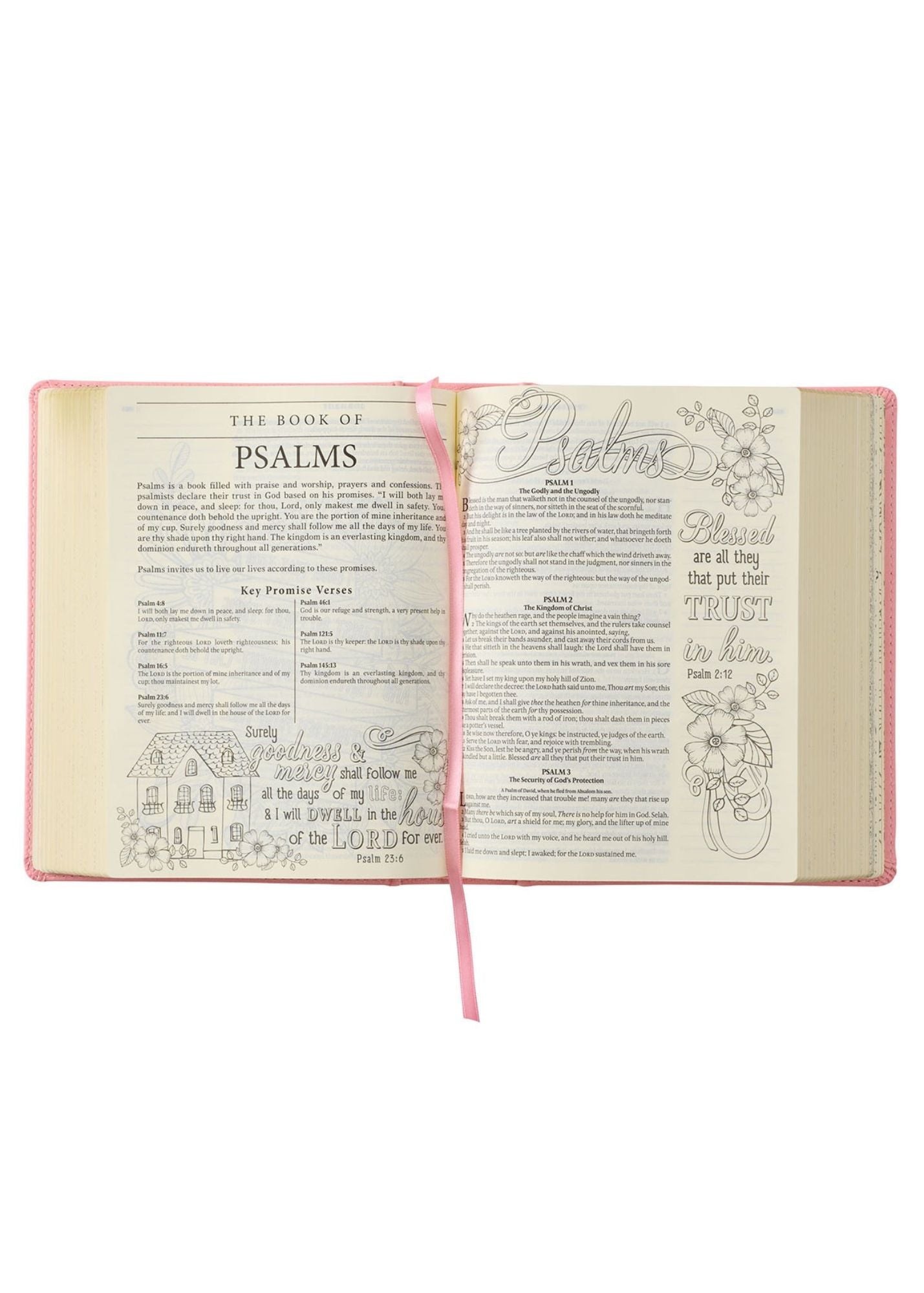 My KJV Promise Bible Gifts