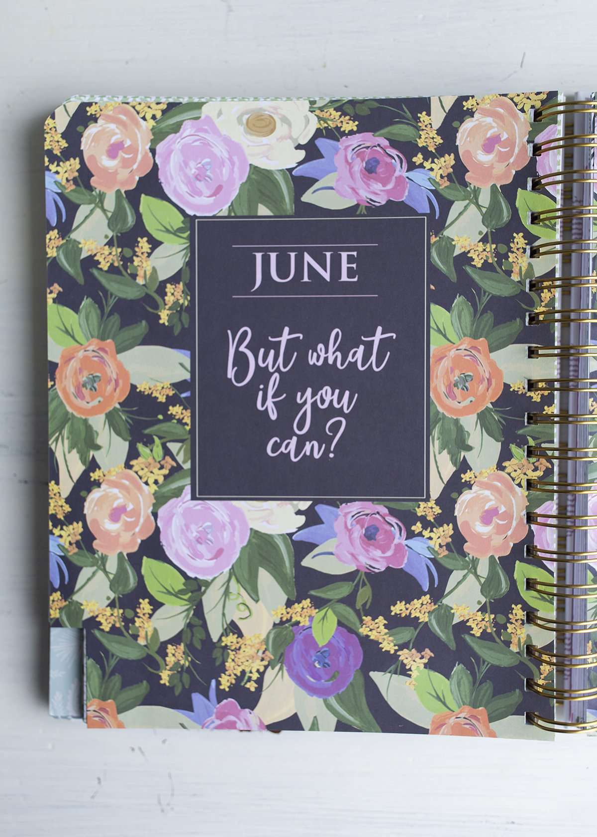 Pineapple Spiral 2019 Planner - FINAL SALE Home & Lifestyle