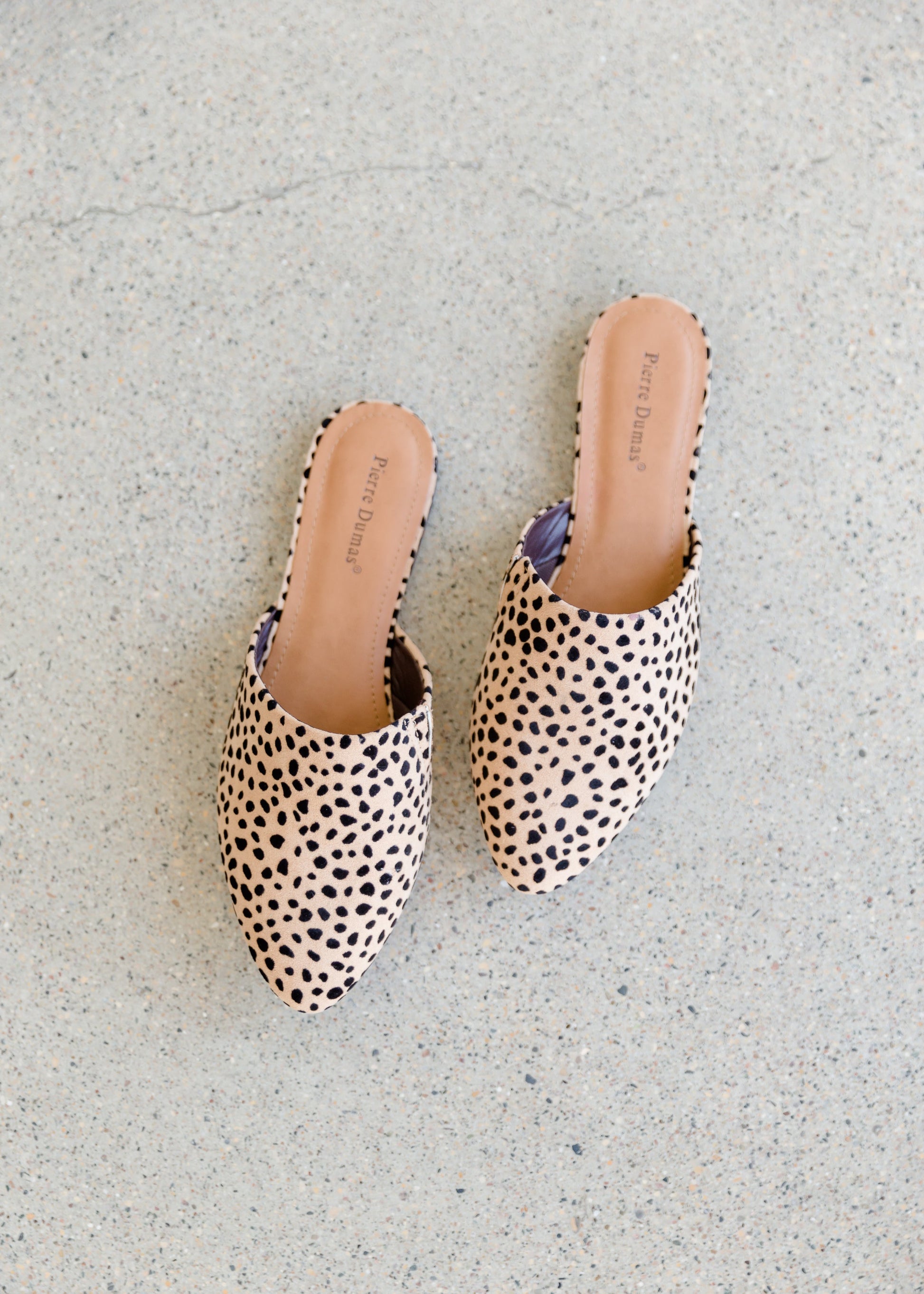 Pointed Toe Cheetah Mules - FINAL SALE Shoes