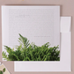 Square Everyday Greeting Cards Accessories Fern Plant