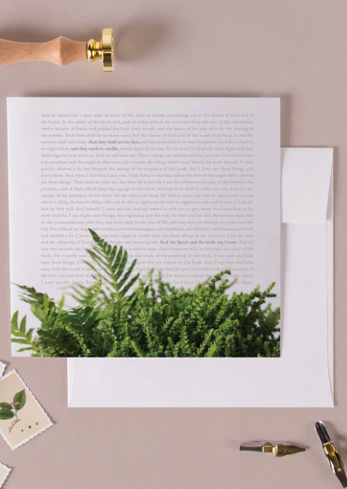Square Everyday Greeting Cards Accessories Fern Plant