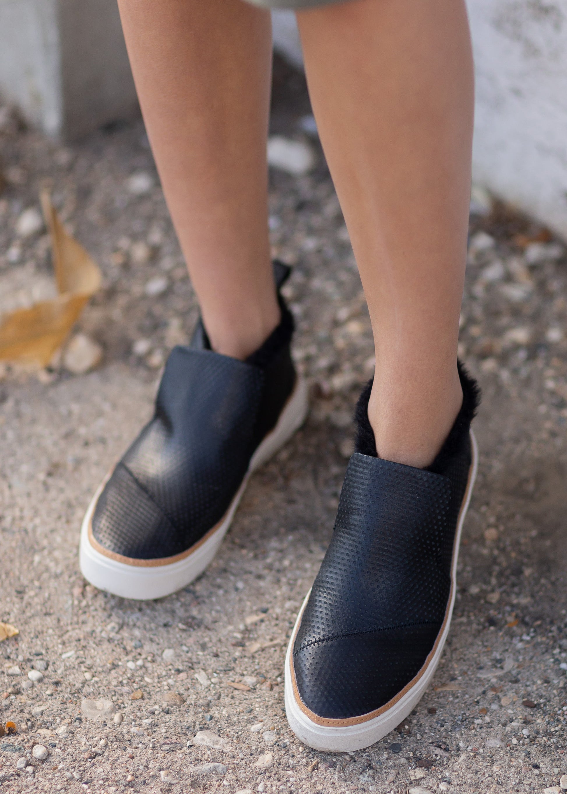 TOMS® Paxton Black Slip Ons Shoes